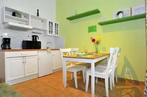 Penthouse Apartment in Vinohrady