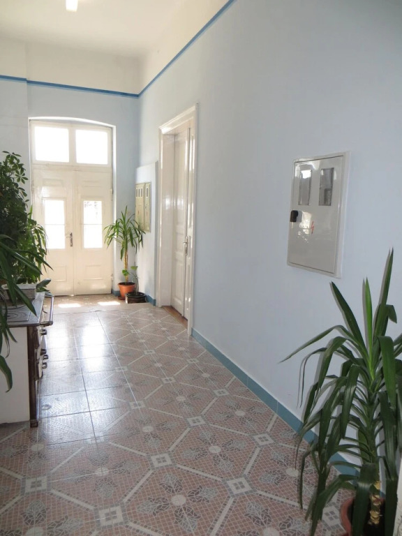 Apartment Ivona CK 1