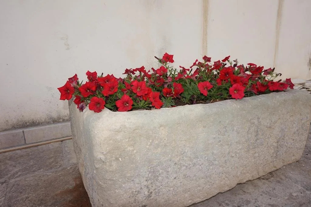 Masseria Pappo