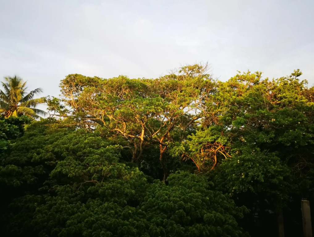 Serendib Village Guest House