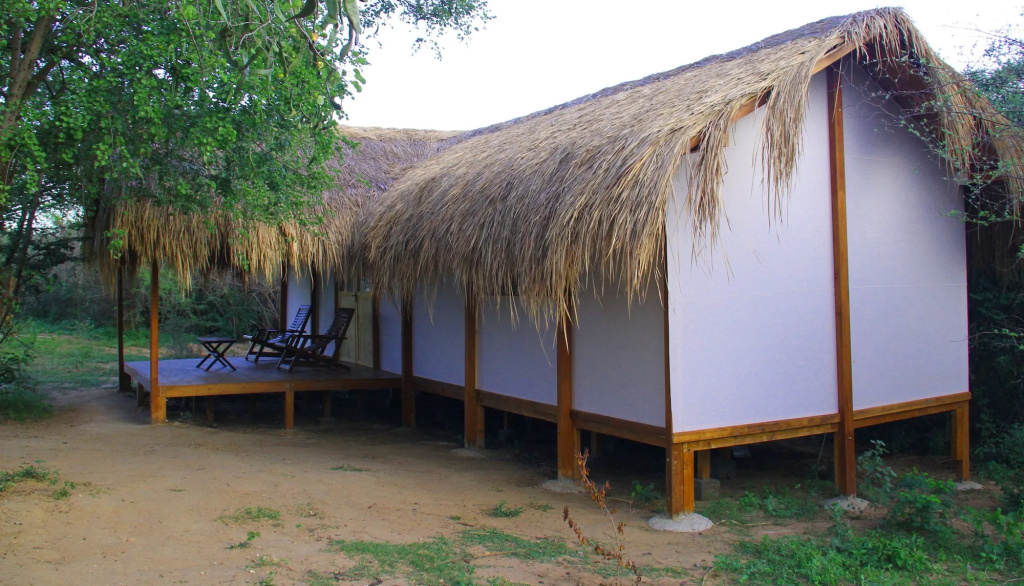 Leopard Nest in Yala