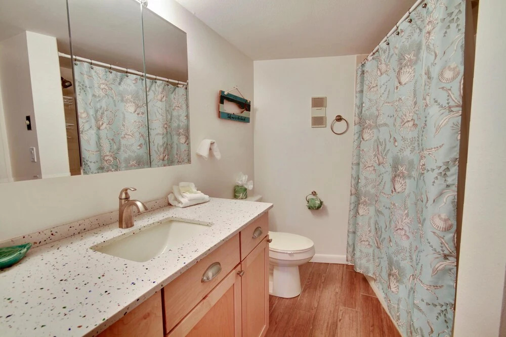 Land's End 302 Building 1 Fully Remodeled With Amazing View!