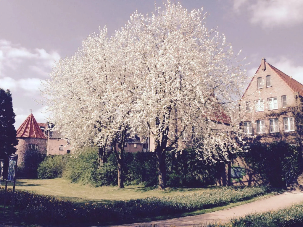 Pension Am Meerturm