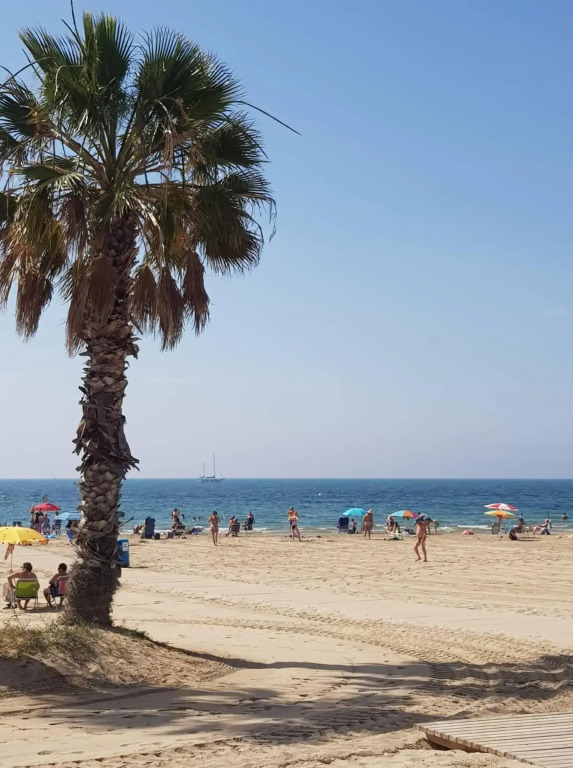 "Vero Vijola" in Torrevieja