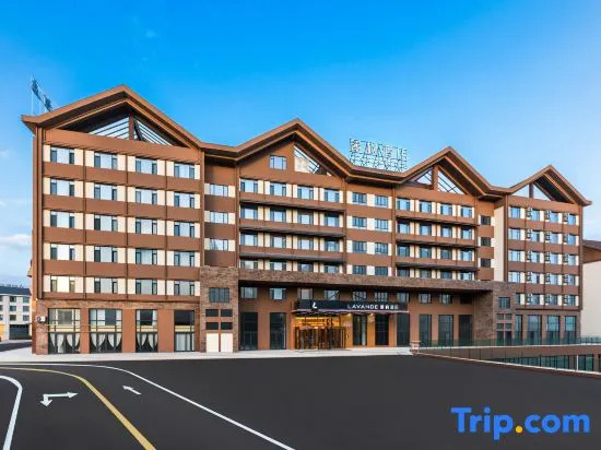 LAVANDE Hotel