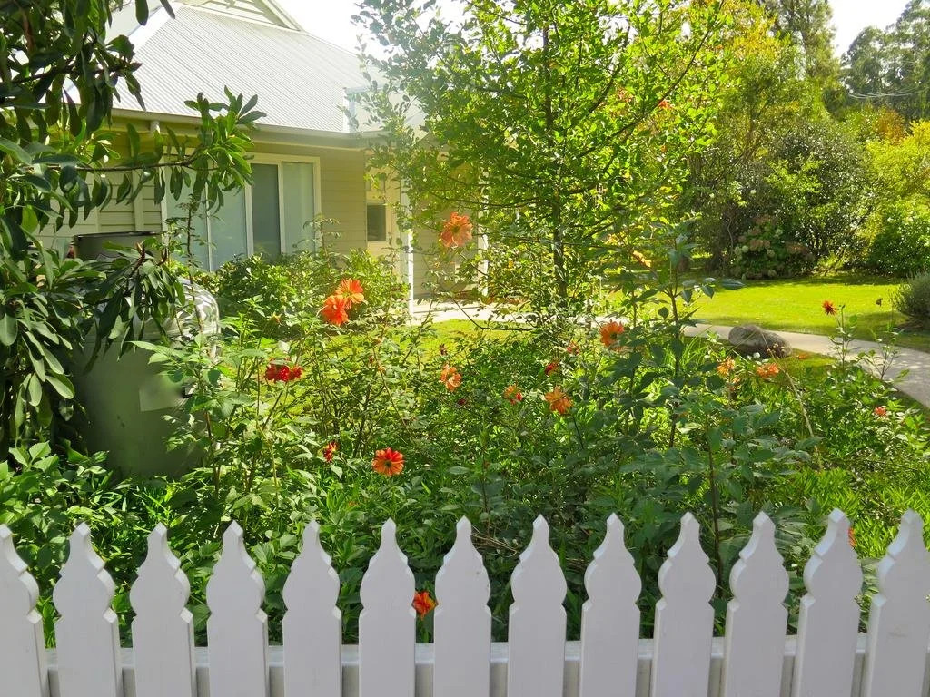 Amelina Cottages