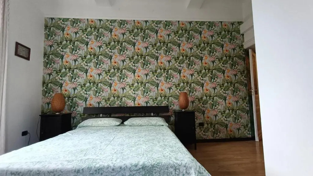 Colosseo Kokedama rooms