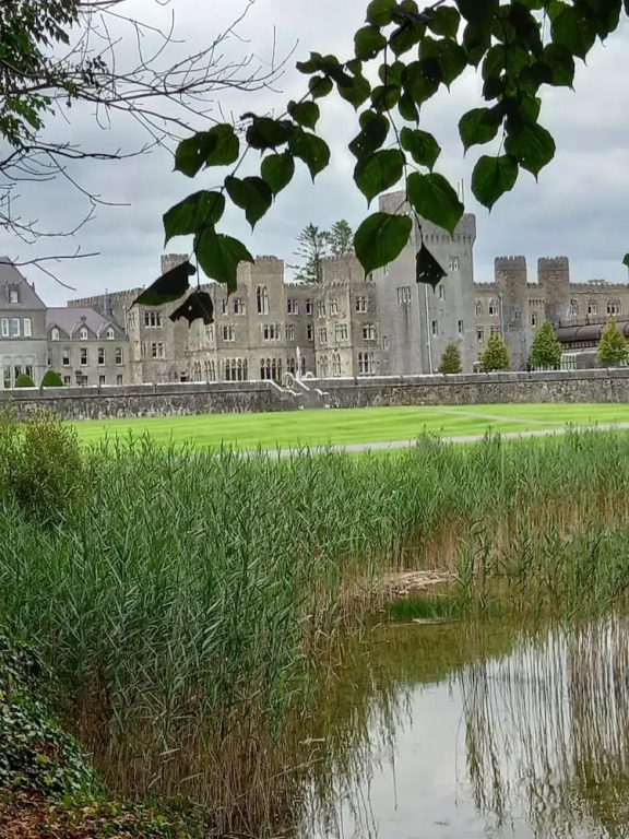 Villa Pio Luxury Apartment 3km From Historic Cong, Ashford Castle, Ashford Lodge