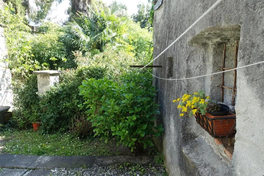 House of cats