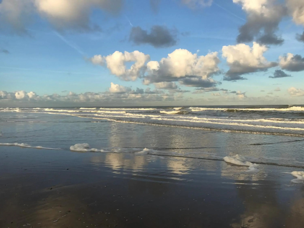 Kust 2