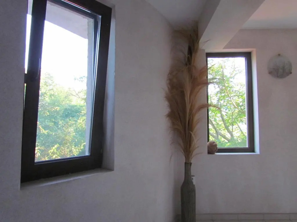 Guest House Dvata Bora