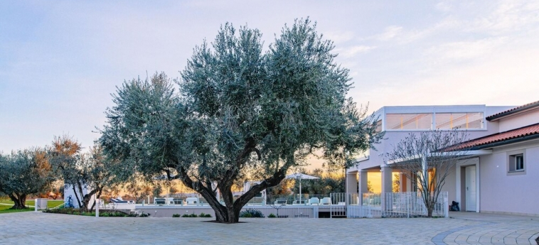 La Perla tra gli Ulivi 12, Emma Villas