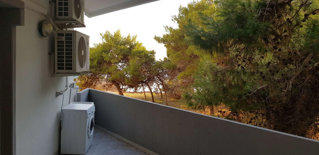 Affittacamere Lido Rivabella SRL