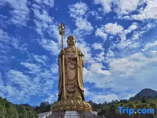Wangxia Homestay (Jiuhuashan Transfer Center)