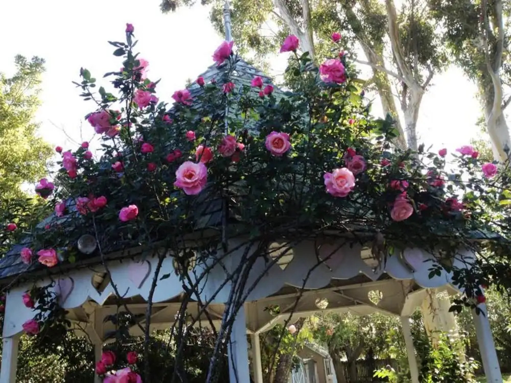 Kaleidoscope Inn & Gardens
