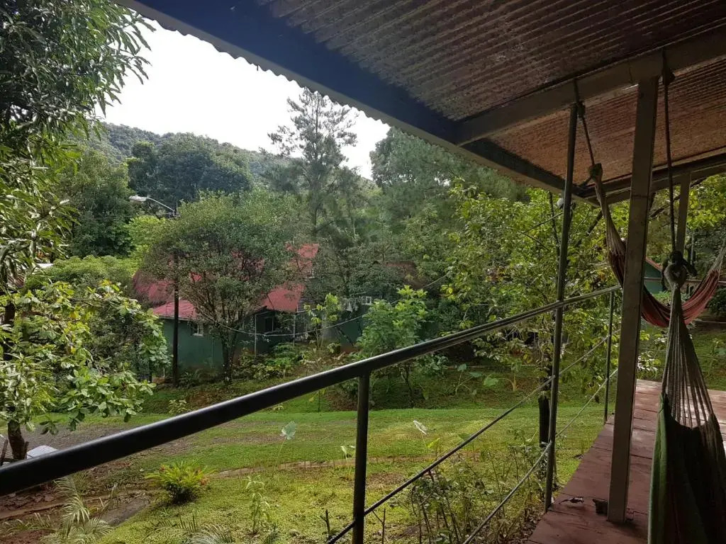 LOS PINOS DE TORIO