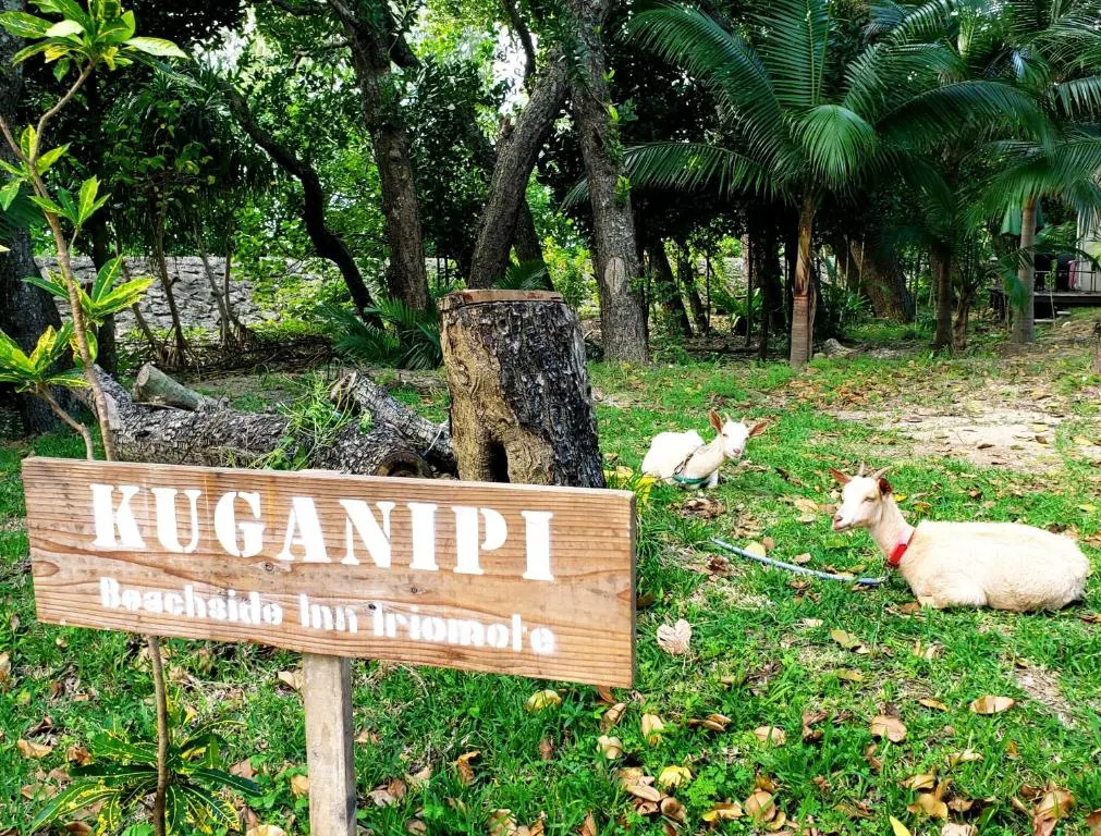 Kuganipi Beachside Inn Iriomote