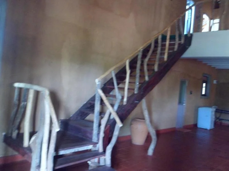 Queen of Elephant Lodge