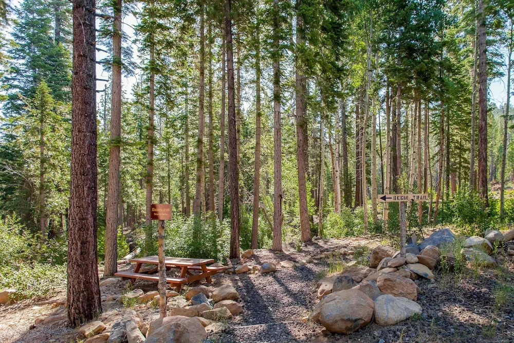 Wooded Getaway W/ 2 Living Areas & Shuttle 3 Bedroom Home