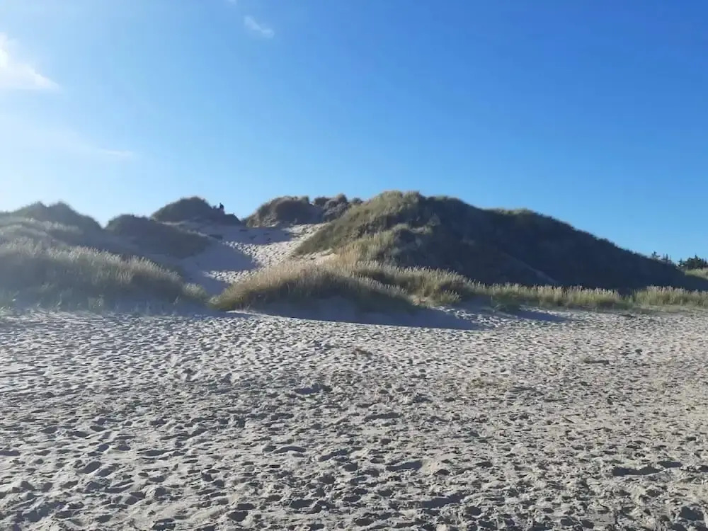 5 Star Holiday Home in Albaek