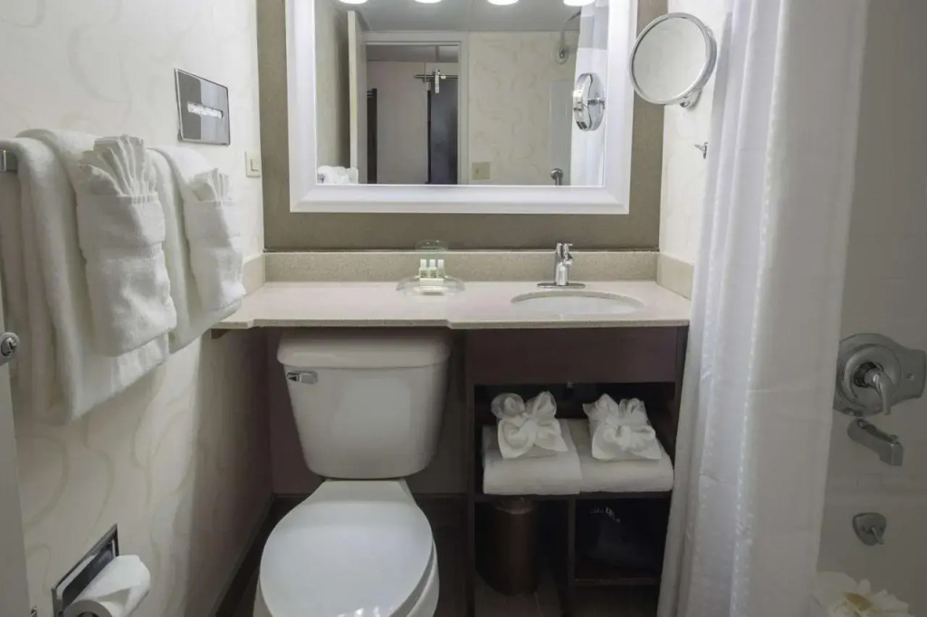 Wyndham Rochester Downtown