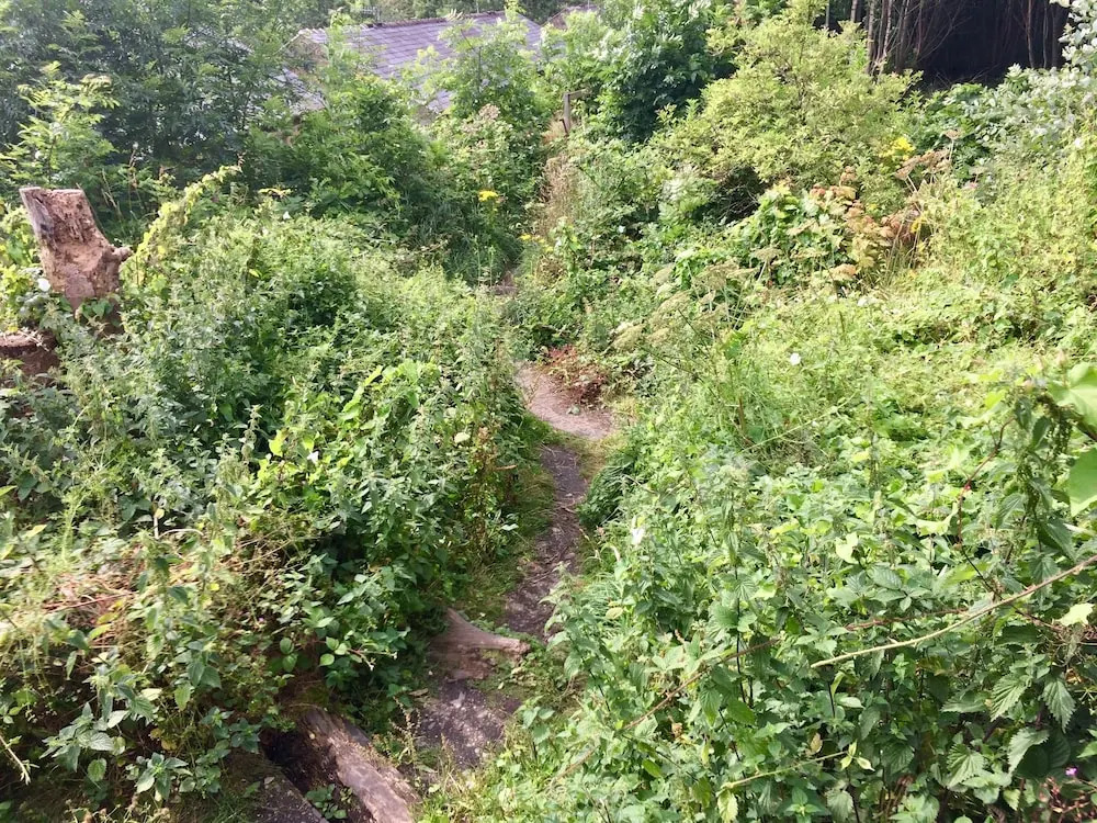 Windsor View, great views, walkers paradise, dog friendly