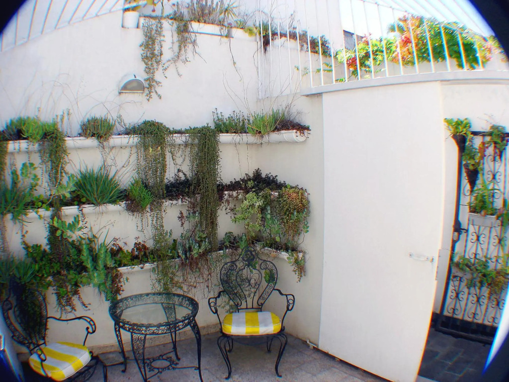 Dos Patios - Luz, tranquilidad y verde