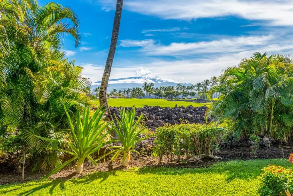 Mauna Lani Point