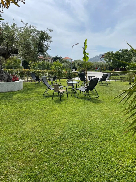 MOLA PAPAYA STUDIOS