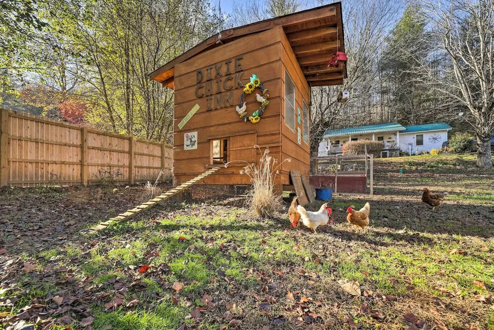 Bring a Pet: Smoky Mtn Vacation Rental w/ Yard