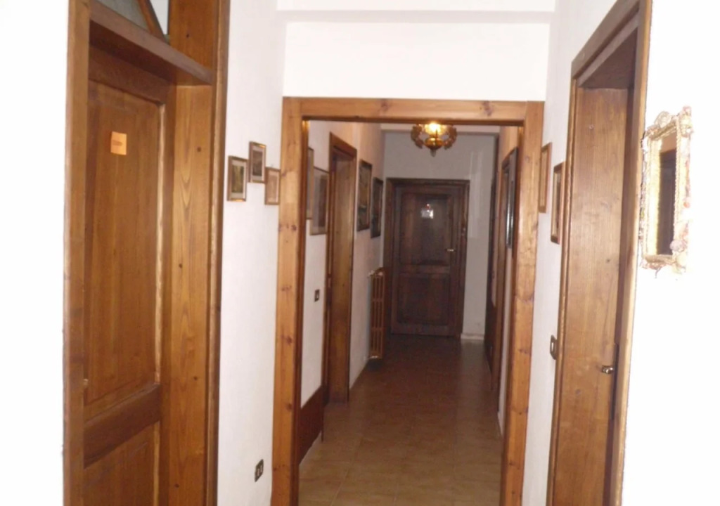 B&B Forconensis