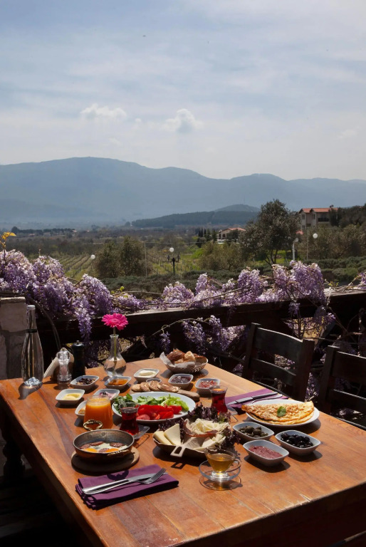 Vinifera Vineyards Hotel