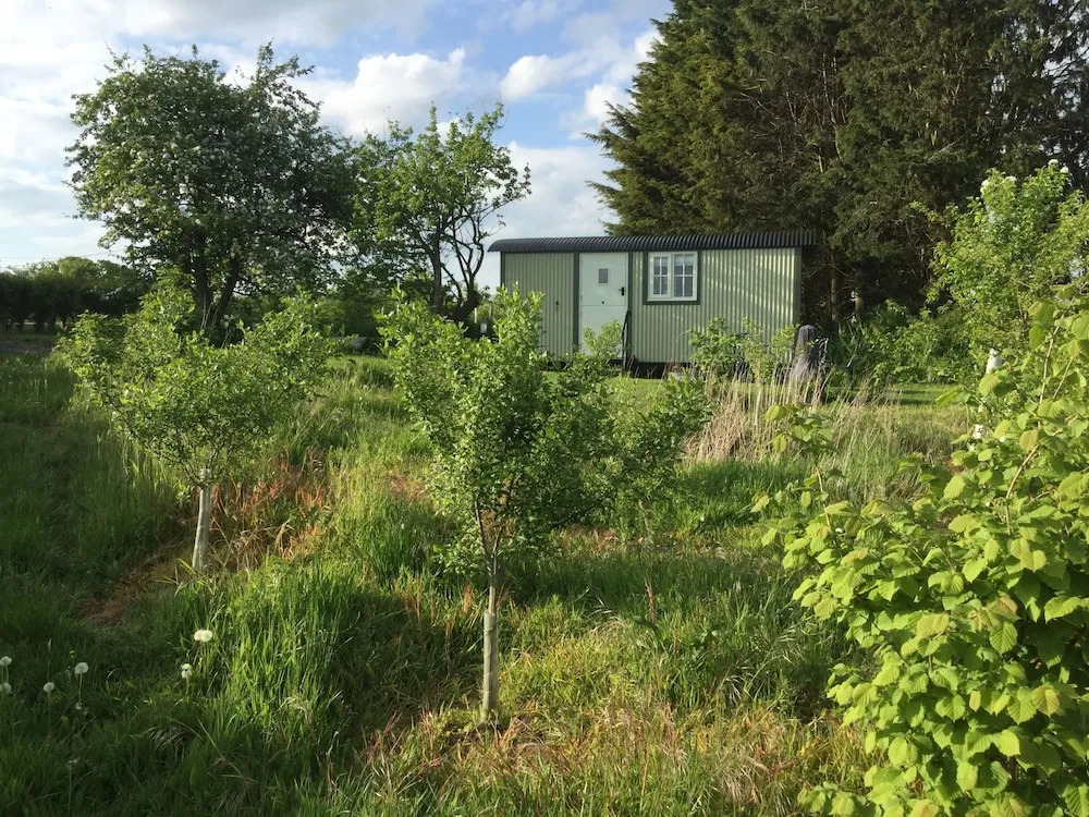 Abbey Farm Glamping & Cottage