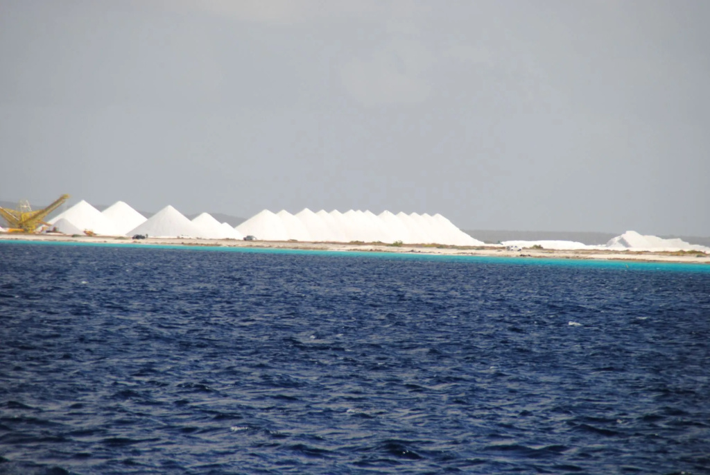 Tala Lodge Bonaire