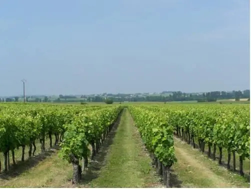 Domaine du Bouquet