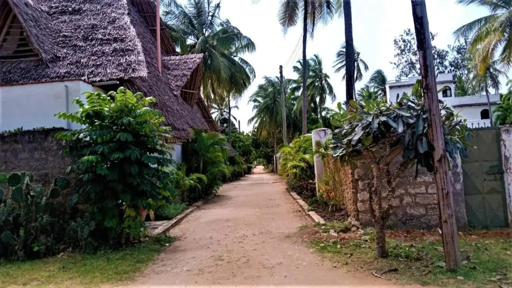 V-Szameitat Homes, Kongo River