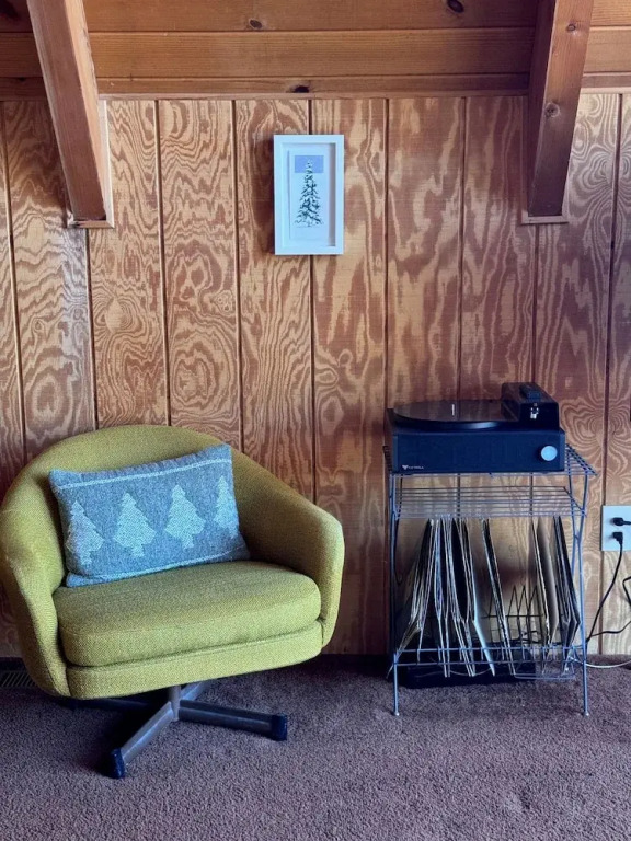 Mid-century Modern A-frame Time Capsule