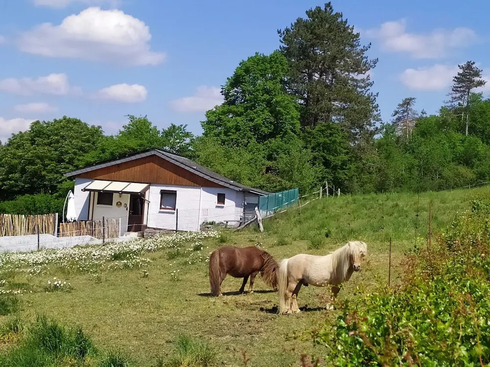 Serene Holiday Home in Han-sur-lesse With Garden