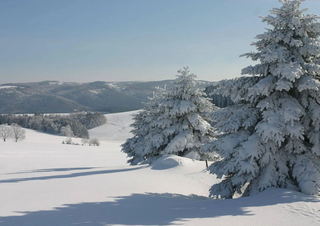 Waldhotel Kreuztanne