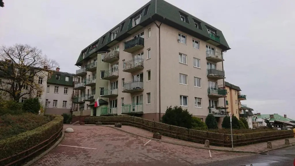 Grzyminska