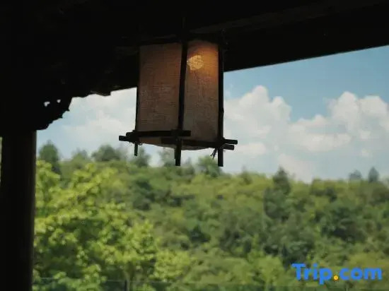 Oriental Tea Haven