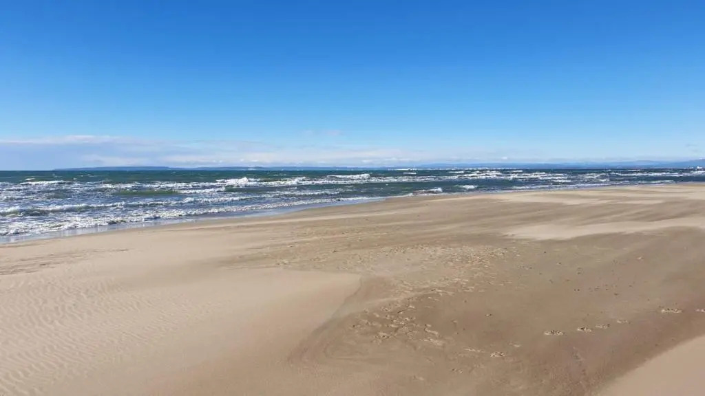 Studio Port Camargue Bord de Mer