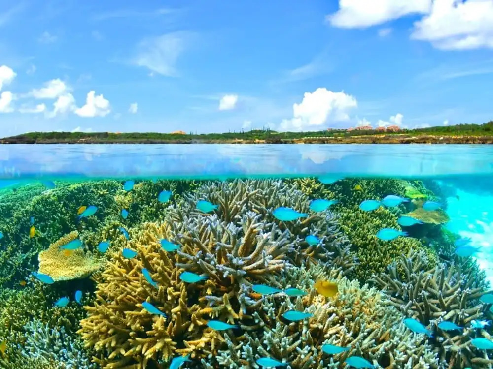 HOTEL SEABREEZE CORAL