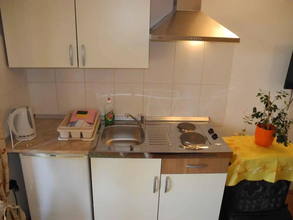 Apartments in Crikvenica 41042