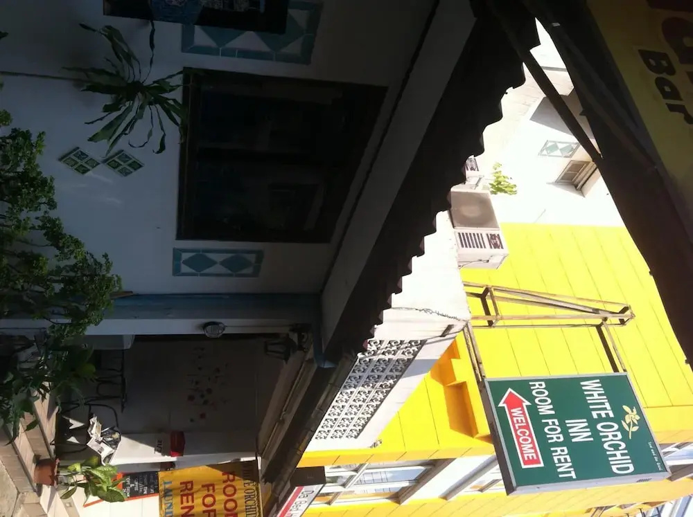White Orchid Inn I
