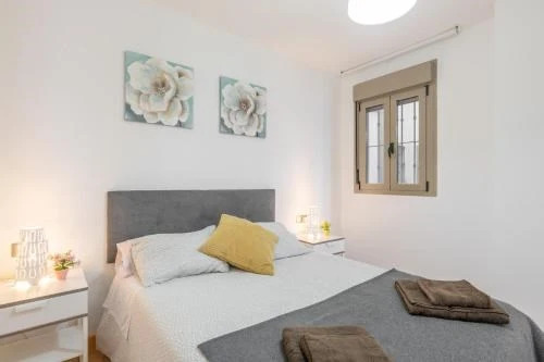 Apartamentos Paseo del Carmen