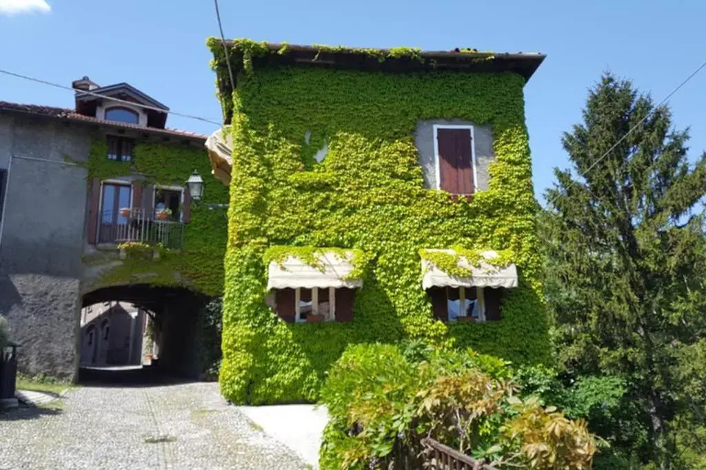 The Ivy House in the Castle