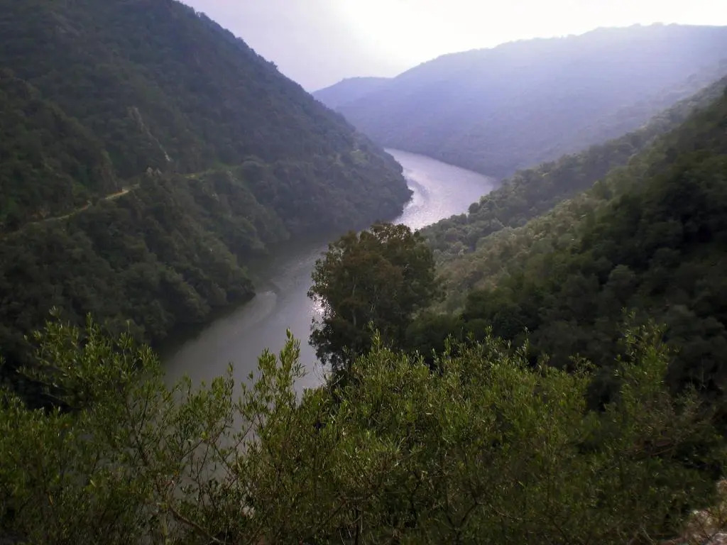 Centro de Naturaleza Cañada Verde "To relax in Enchanted Forest"