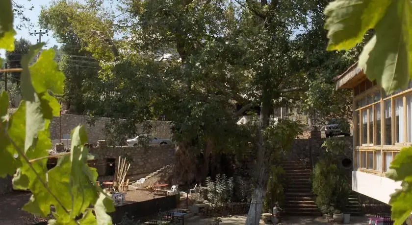 Cinaraltı Pansiyon