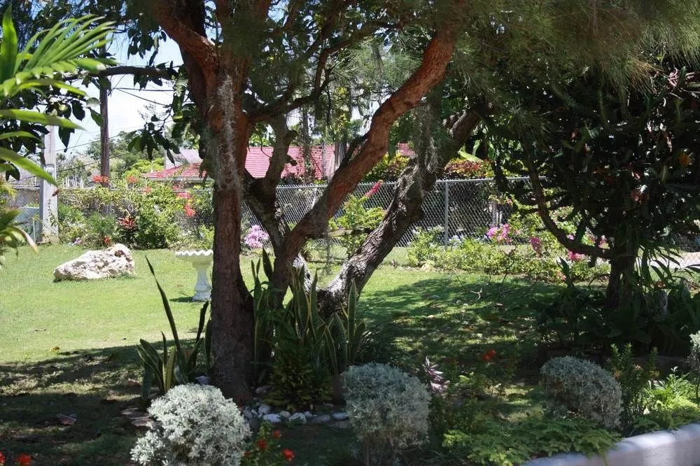 Villa Xanadu